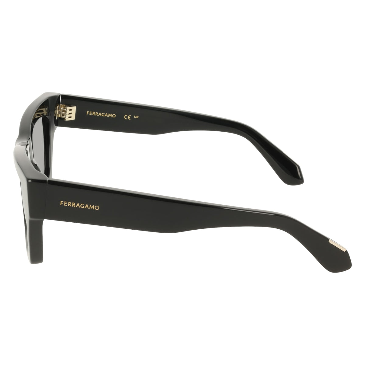 Sunglasses Ferragamo SF2105S 001 50 23