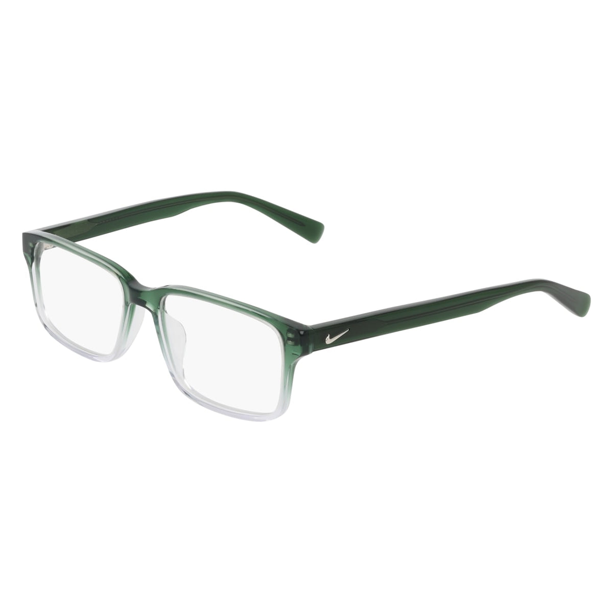 Prescription Glasses Nike NIKE 1001C 313 49 / 51 15 / 16