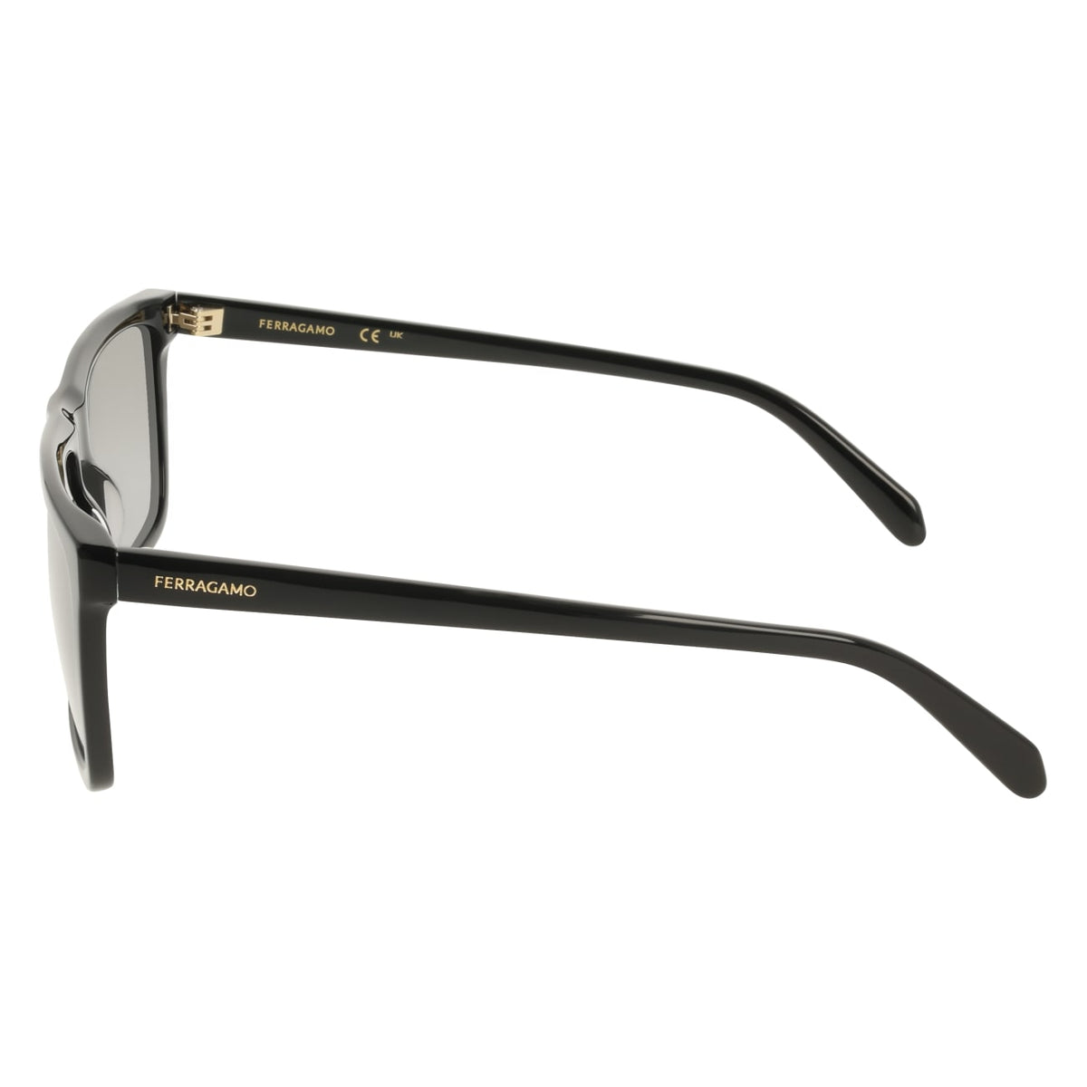 Gafas de Sol Ferragamo SF2123S 001 58 18