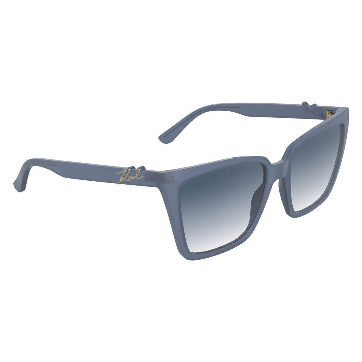 Gafas de Sol Karl Lagerfeld KL6247S 020 56 17