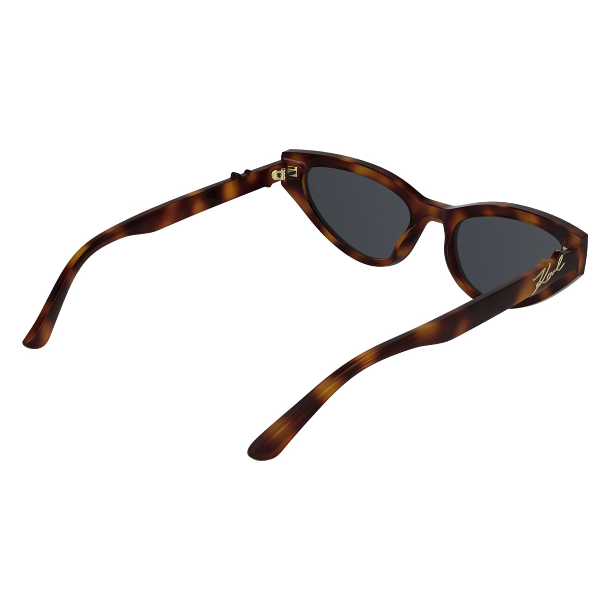 Gafas de Sol Karl Lagerfeld KL6248S 240 54 19