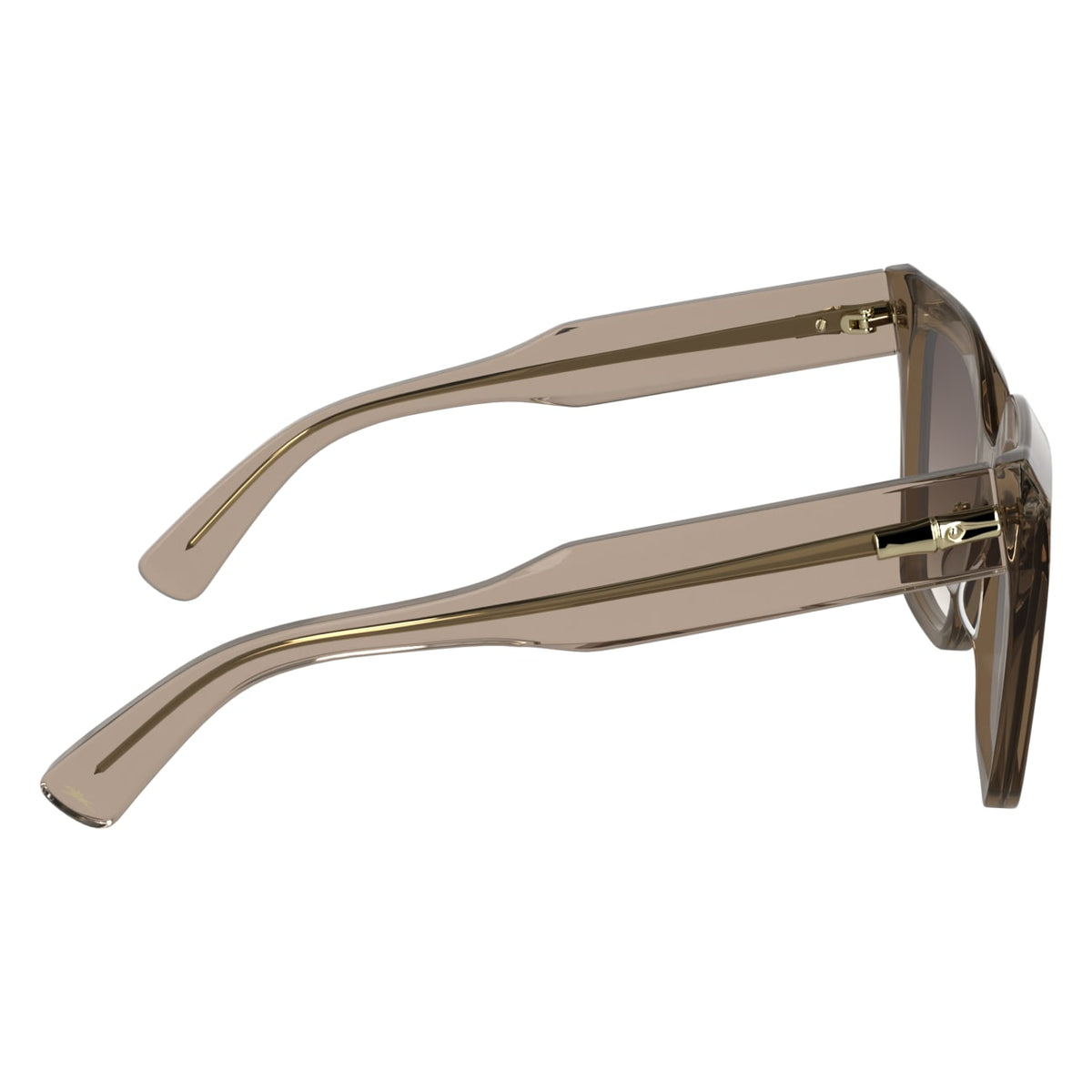 Sunglasses Longchamp LO778S 272 54 19