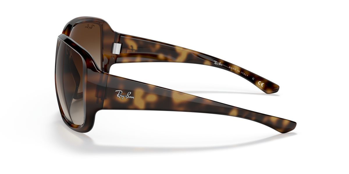 Sunglasses Ray-Ban Powderhorn RB4347 710/13 60 18
