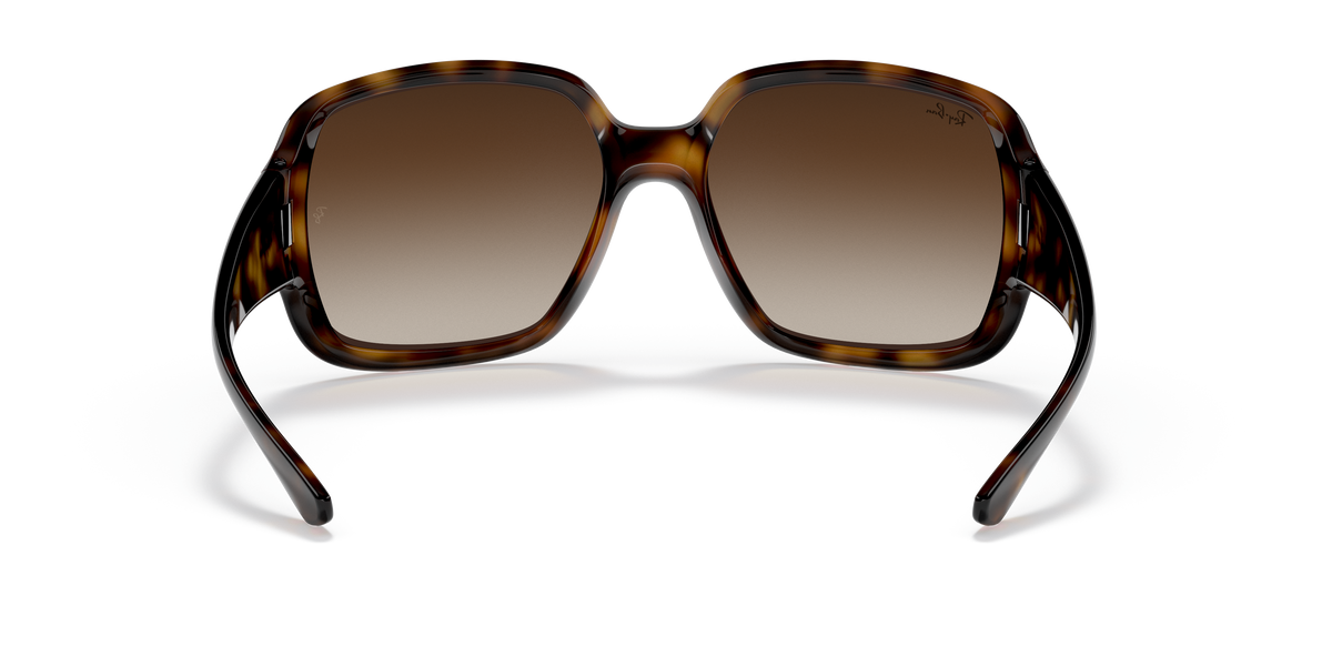 Sunglasses Ray-Ban Powderhorn RB4347 710/13 60 18
