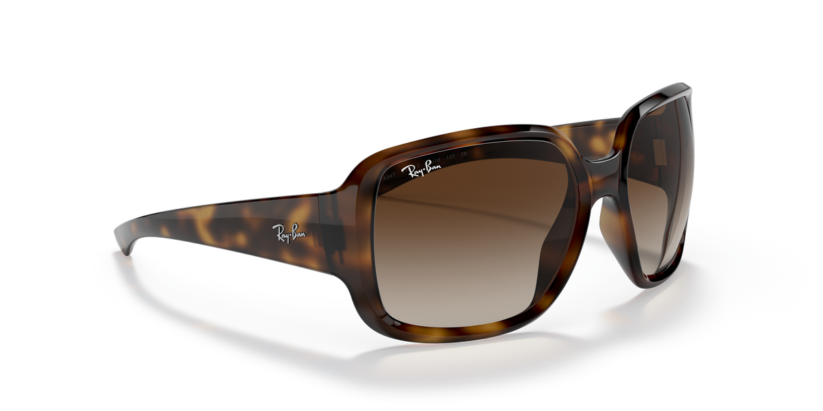 Sunglasses Ray-Ban Powderhorn RB4347 710/13 60 18