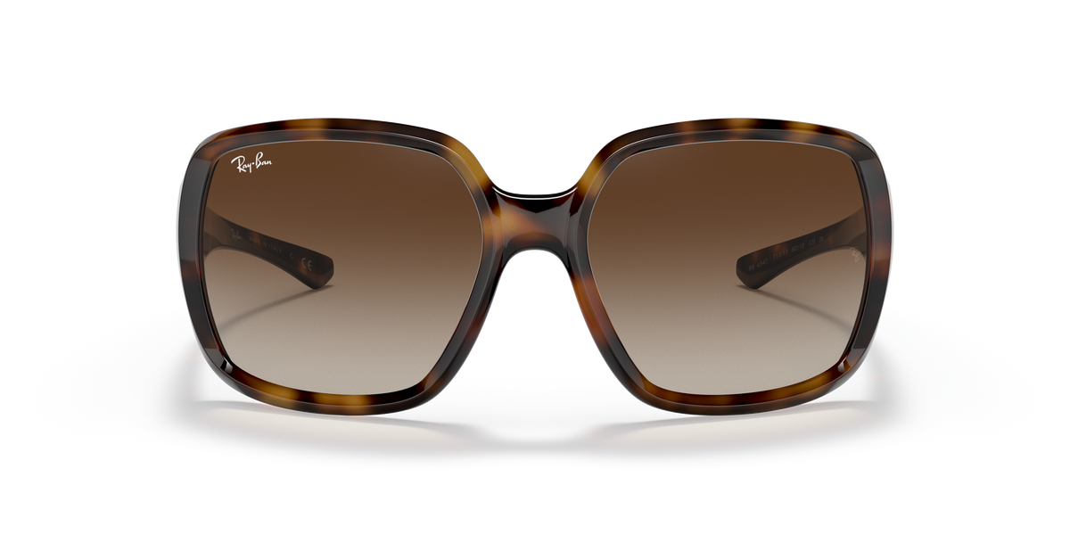 Sunglasses Ray-Ban Powderhorn RB4347 710/13 60 18