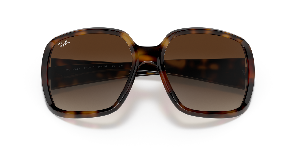 Sunglasses Ray-Ban Powderhorn RB4347 710/13 60 18