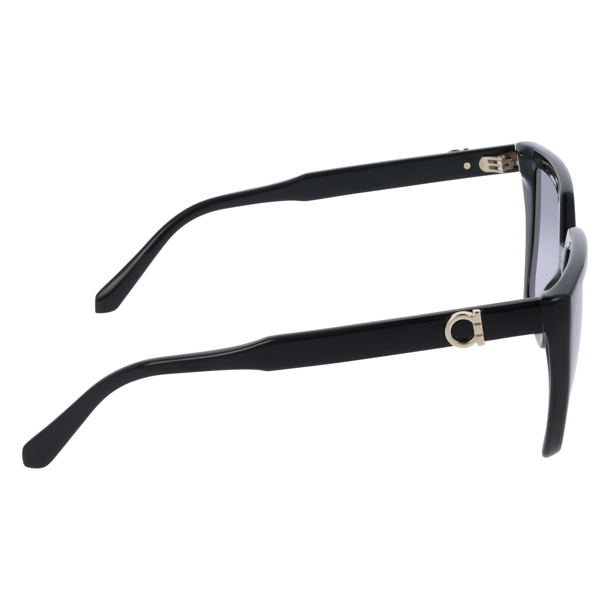 Gafas de Sol Ferragamo SF2058SE 001 54 17