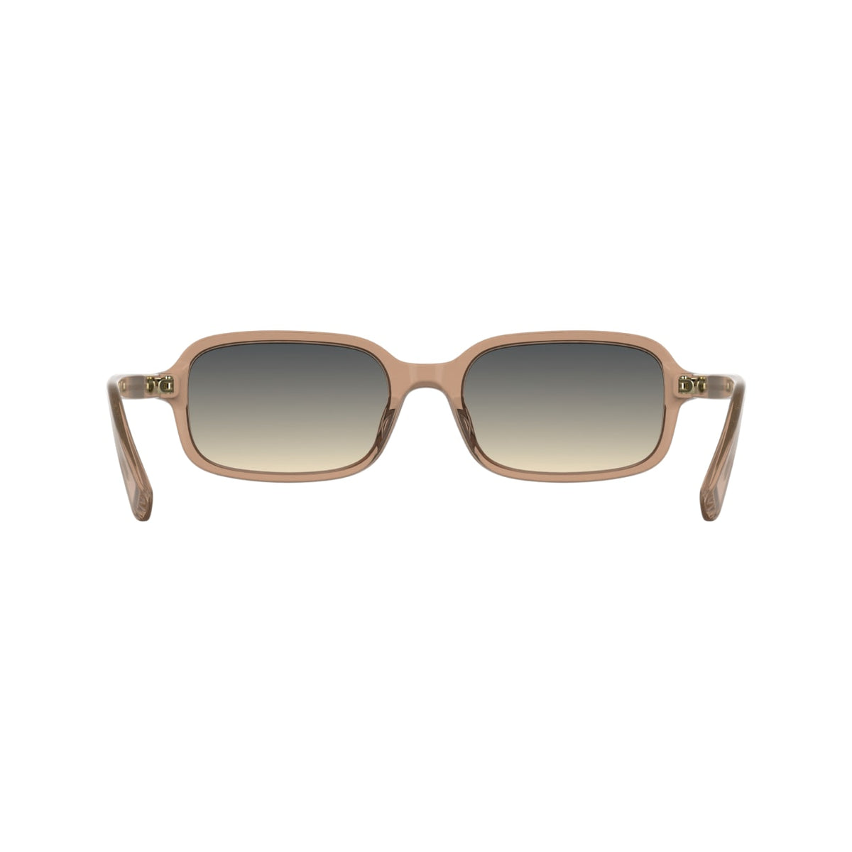 Gafas de Sol Longchamp LO818S 200 53 18