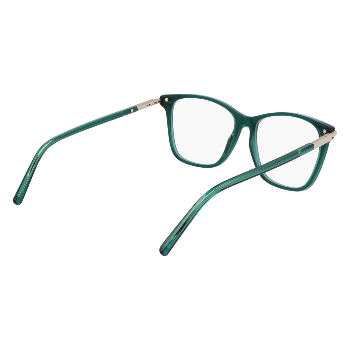 Prescription Glasses Ferragamo SF3013 317 55 15