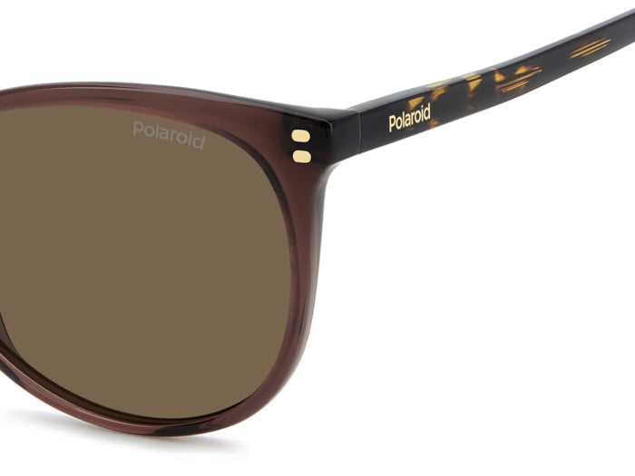 Gafas de Sol Polaroid PLD 4200/S/X 09QSP 56 16