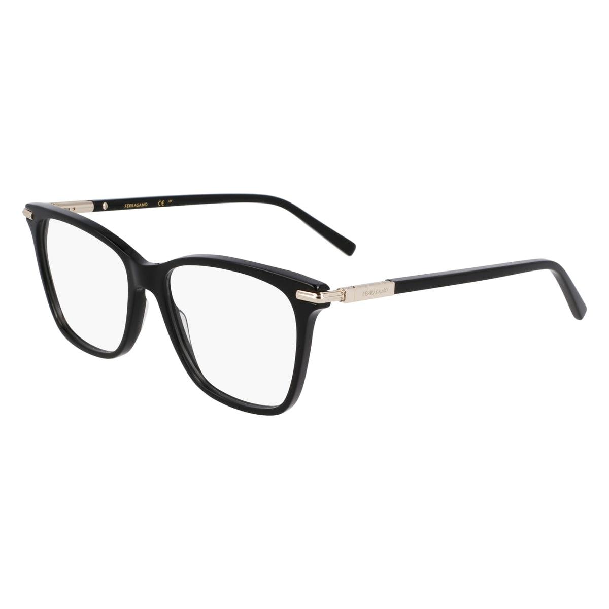 Prescription Glasses Ferragamo SF3013 001 53 / 55 15
