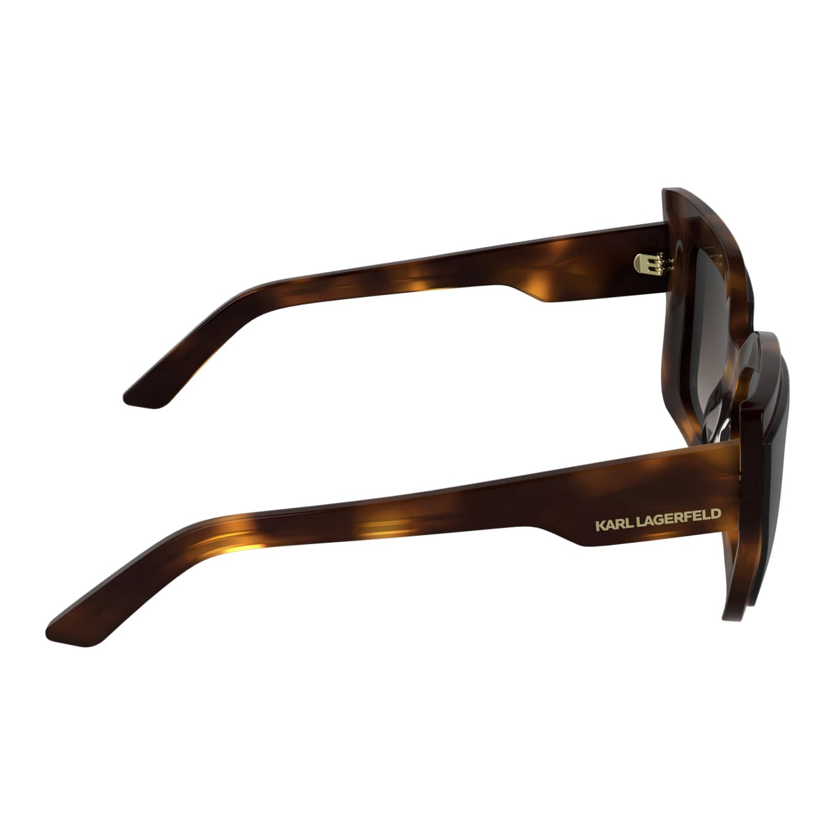 Gafas de Sol Karl Lagerfeld KL6204S 017 53 16
