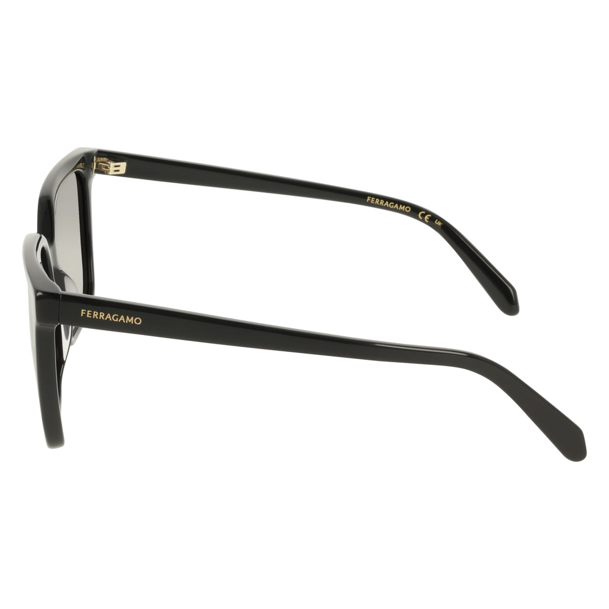 Gafas de Sol Ferragamo SF2102S 001 57 16
