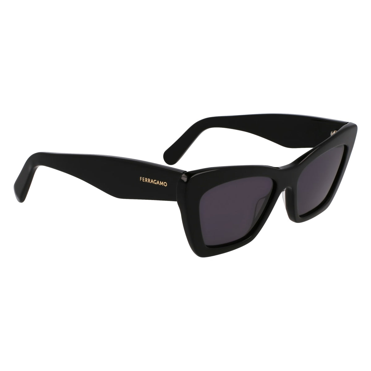 Sunglasses Ferragamo SF929SN 001 55 17