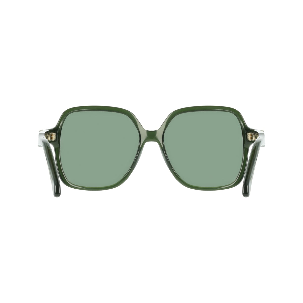 Gafas de Sol Ferragamo SF2069SE 317 57 15