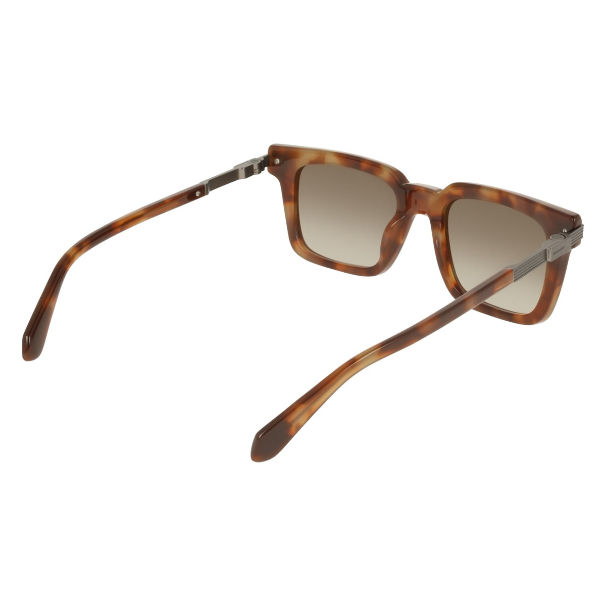 Sunglasses Ferragamo SF2103S 225 53 21