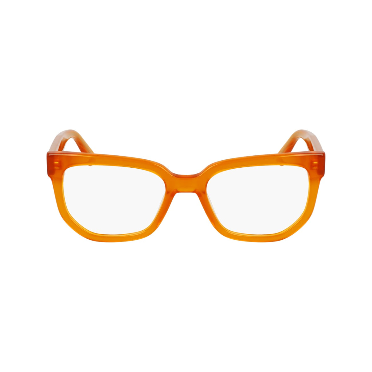 Prescription Glasses Calvin Klein Jeans CKJ24615 201 53 19