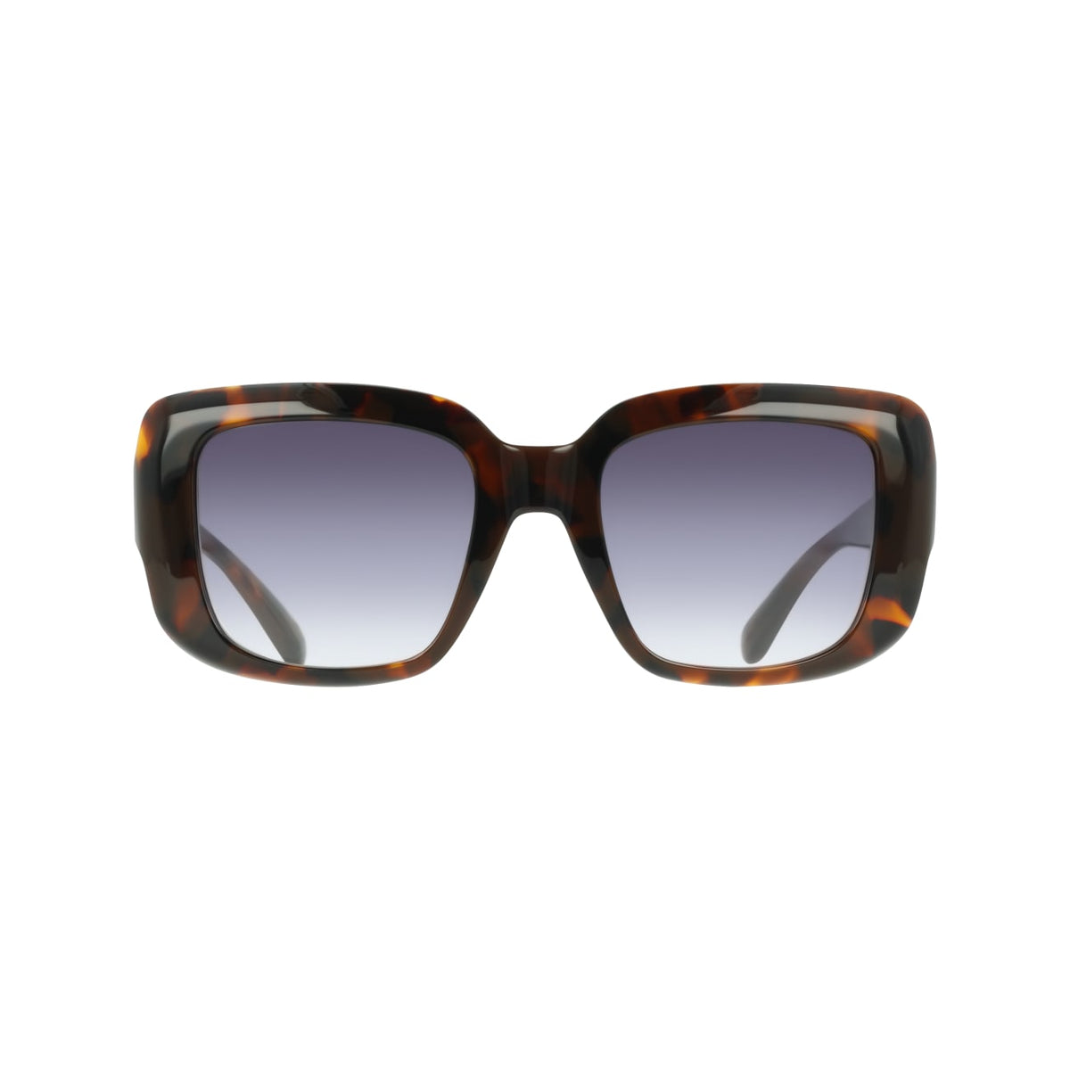 Gafas de Sol Ferragamo SF2117S 240 52 21