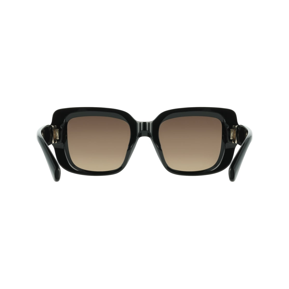 Gafas de Sol Ferragamo SF2117S 001 52 21