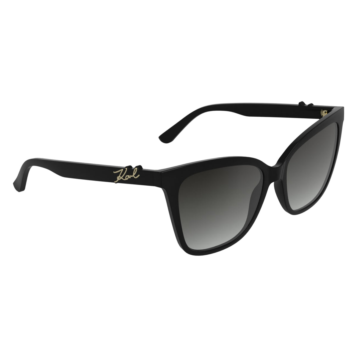 Sunglasses Karl Lagerfeld KL6223S 001 56 17