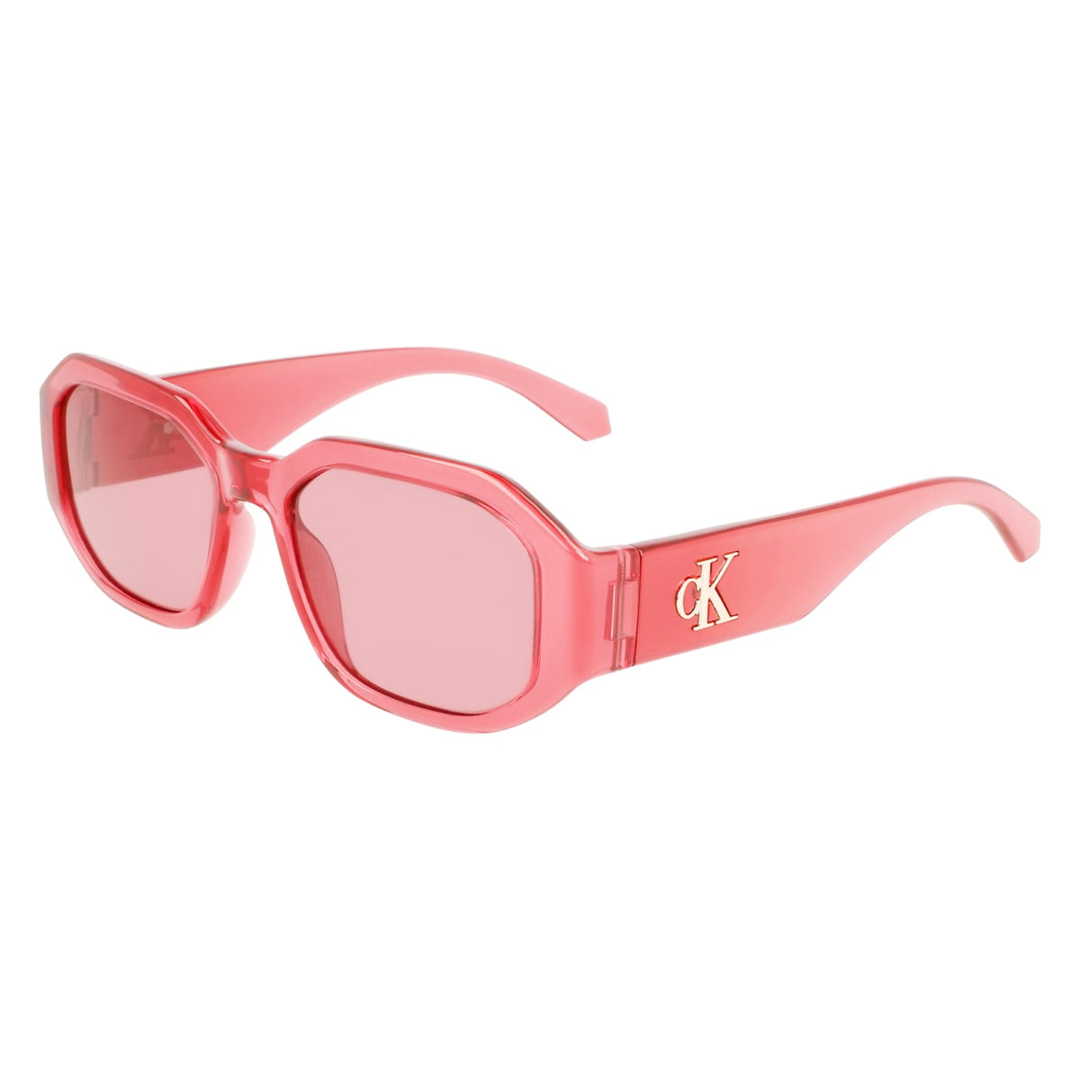 Gafas de Sol Calvin Klein Jeans CKJ22633S 600 55 18