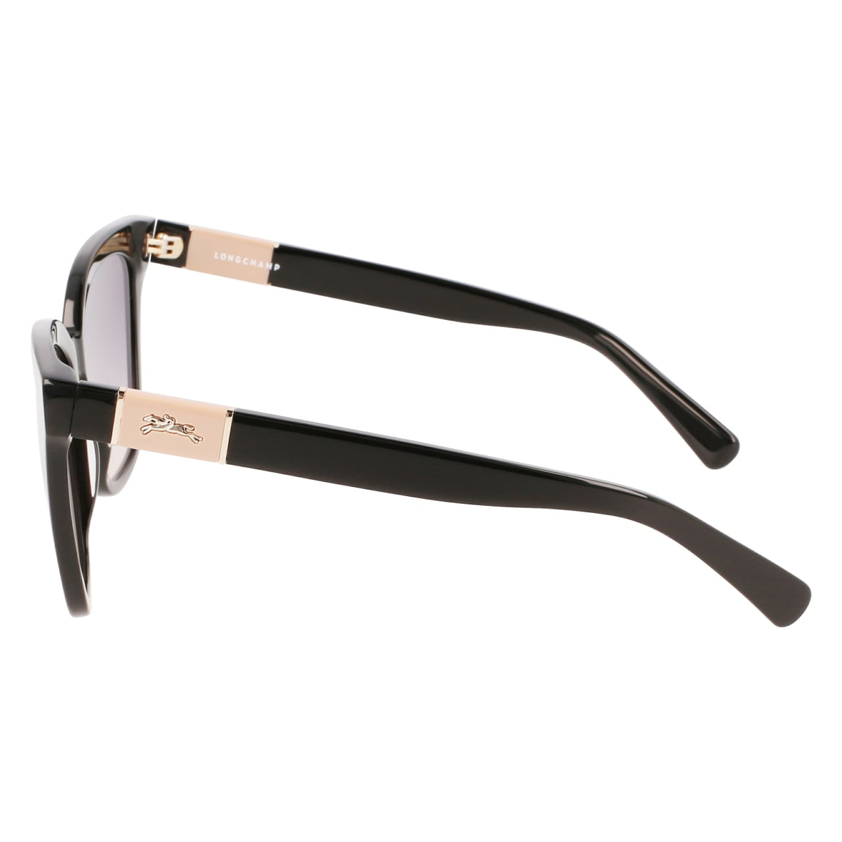 Gafas de Sol Longchamp LO696S 001 54 17
