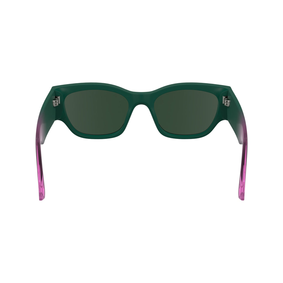 Gafas de Sol Karl Lagerfeld KLJ6168S 301 52 19