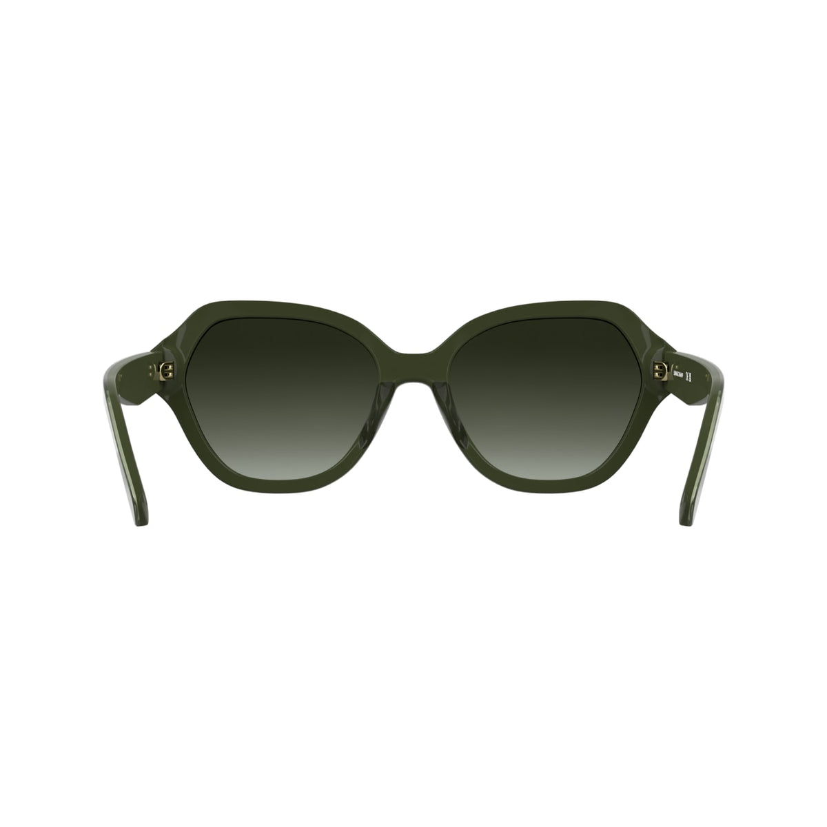 Gafas de Sol Longchamp LO801S 319 56 19