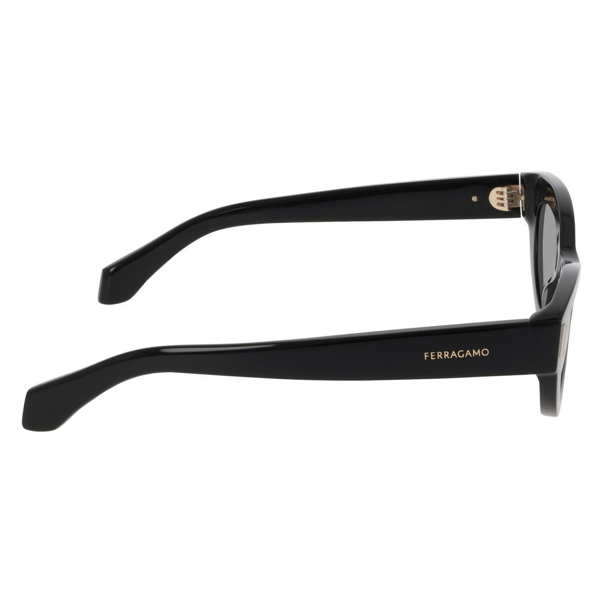 Gafas de Sol Ferragamo SF2062SE 001 49 23
