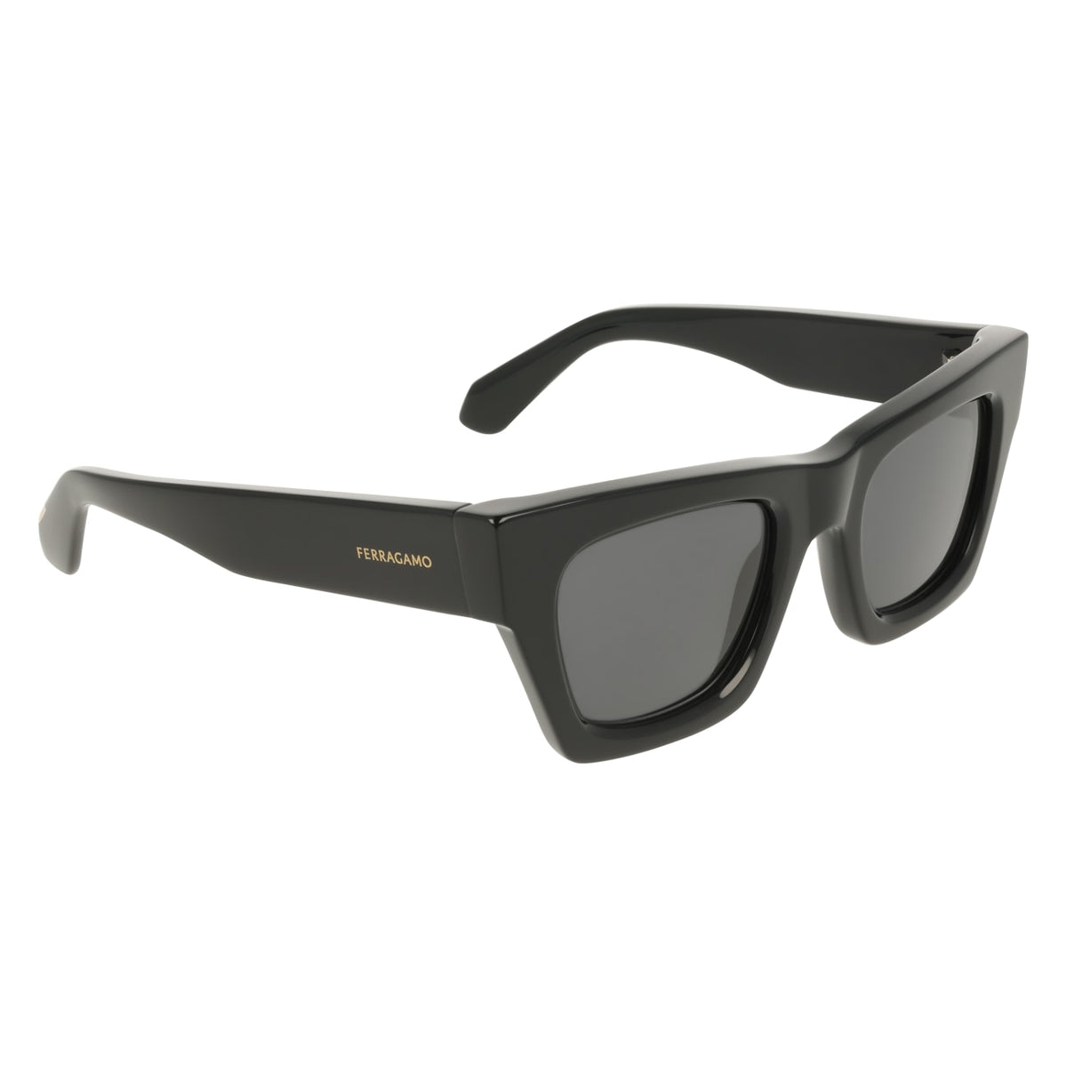 Sunglasses Ferragamo SF2105S 001 50 23