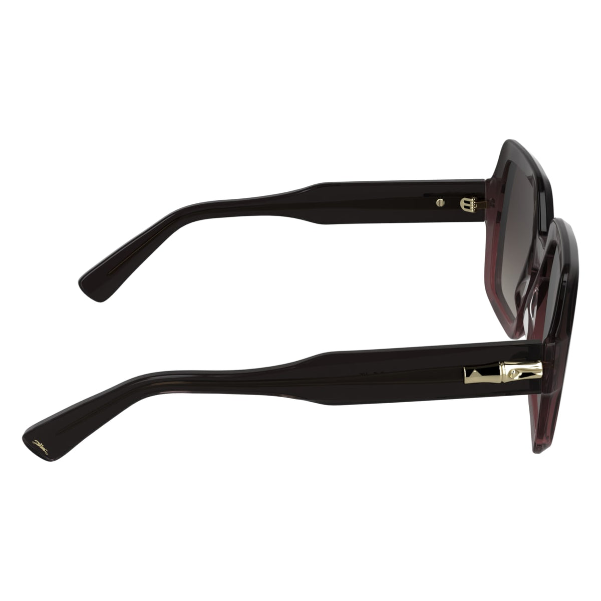 Gafas de Sol Longchamp LO790S 604 54 22