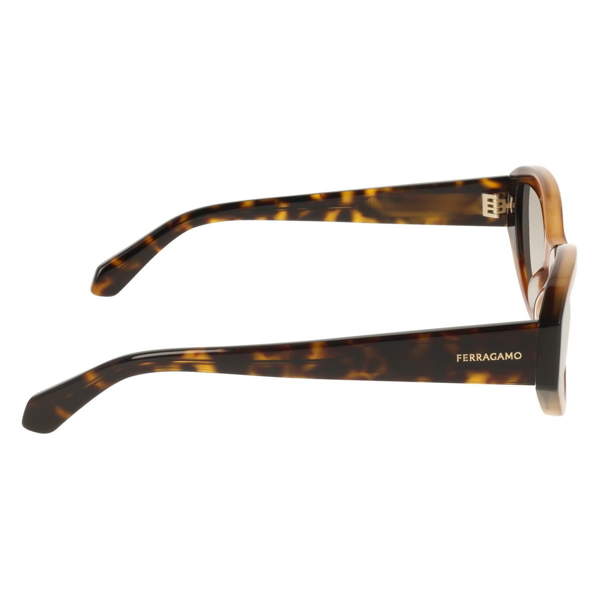 Gafas de Sol Ferragamo SF2104S 264 55 18