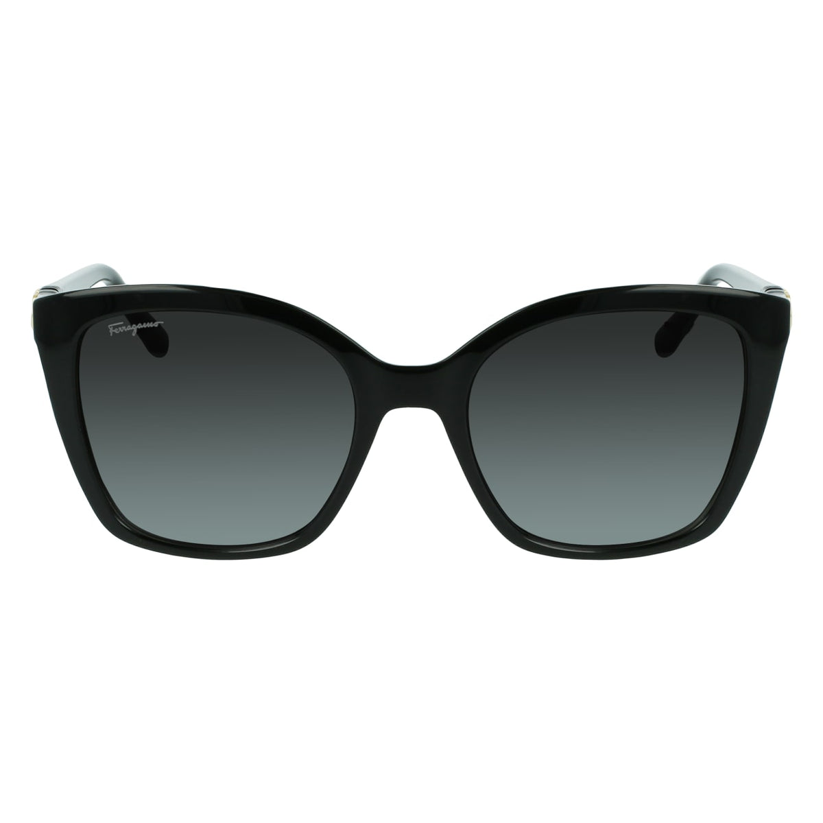 Gafas de Sol Ferragamo SF1026S 001 53.9 19