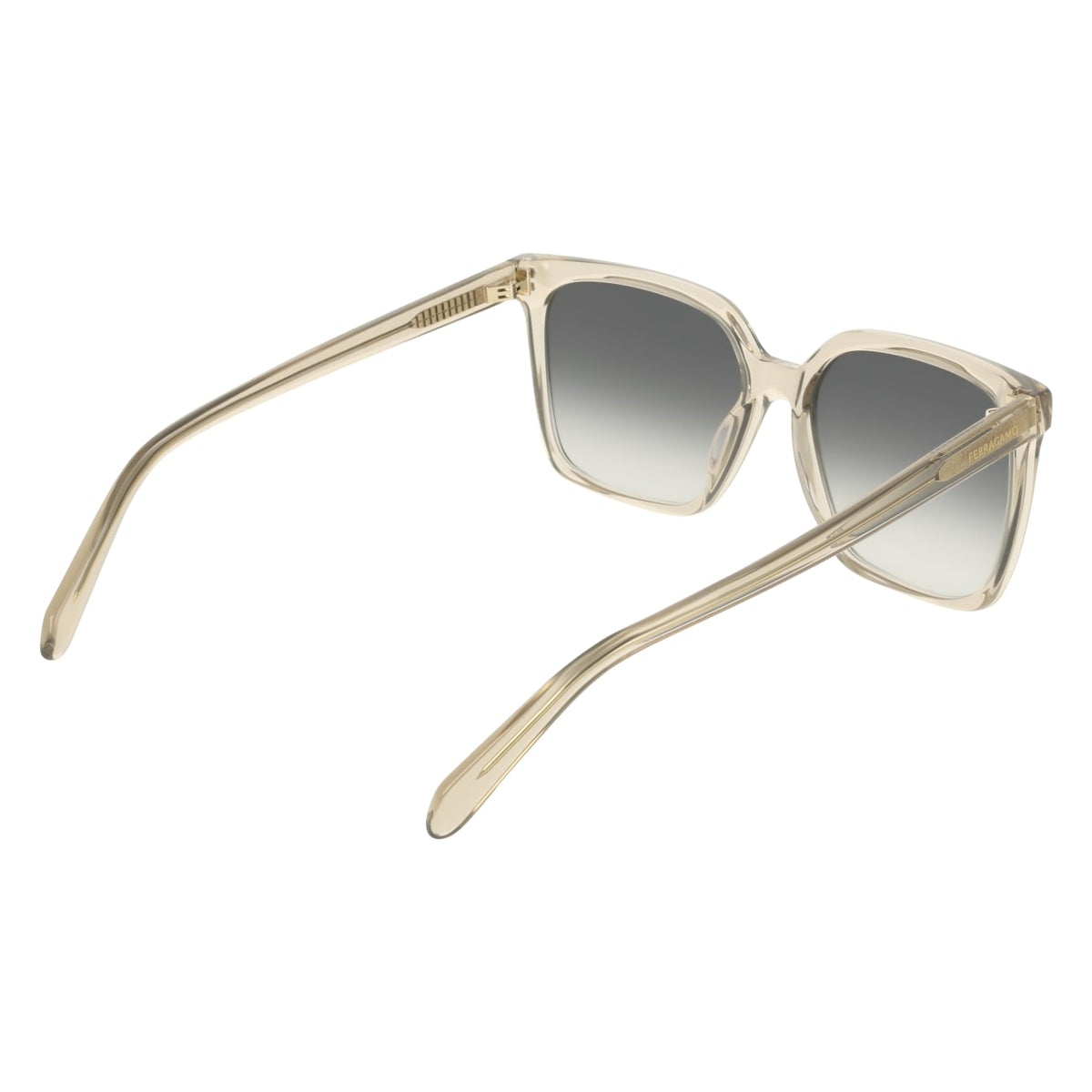Gafas de Sol Ferragamo SF2102S 313 57 16