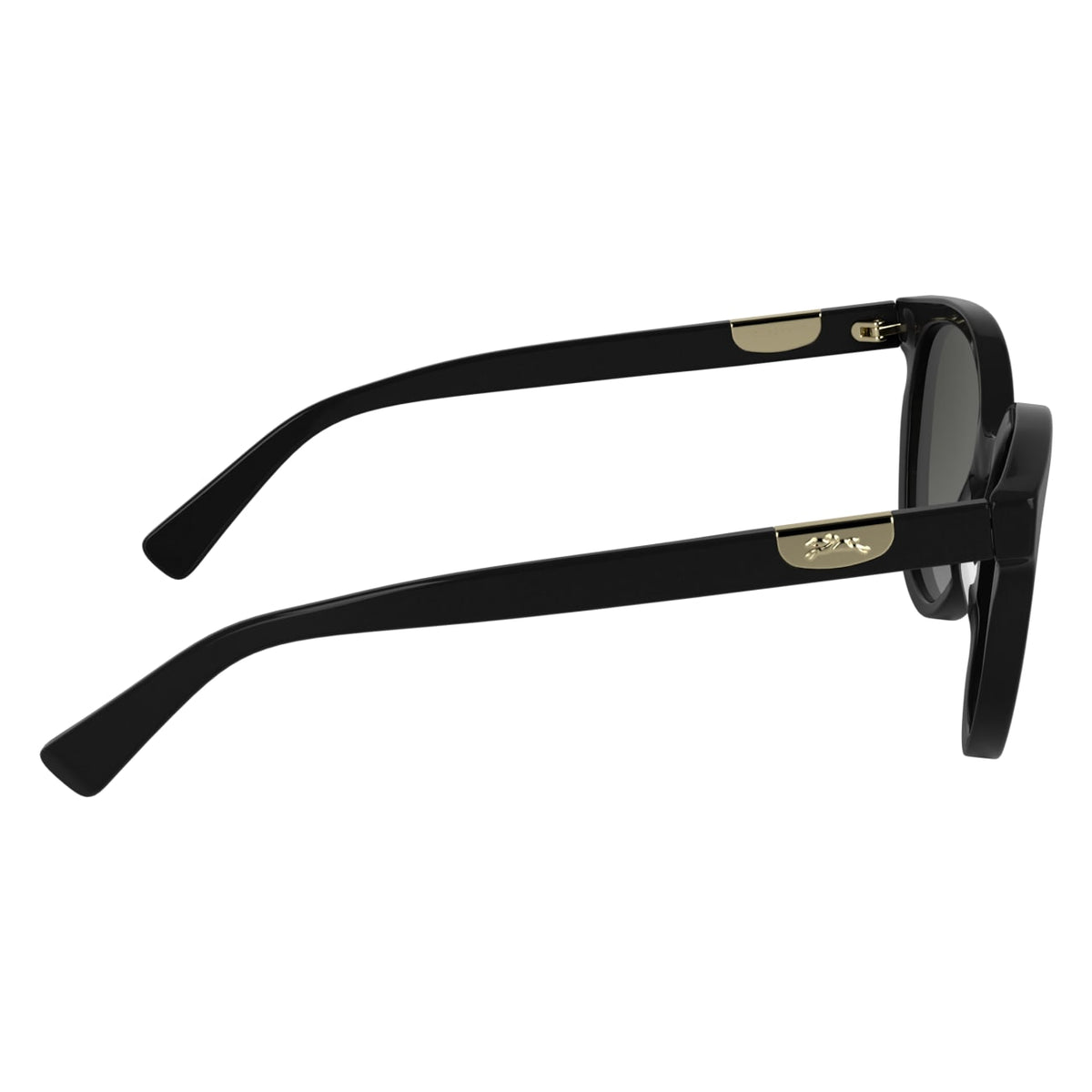 Sunglasses Longchamp LO773S 001 52 19