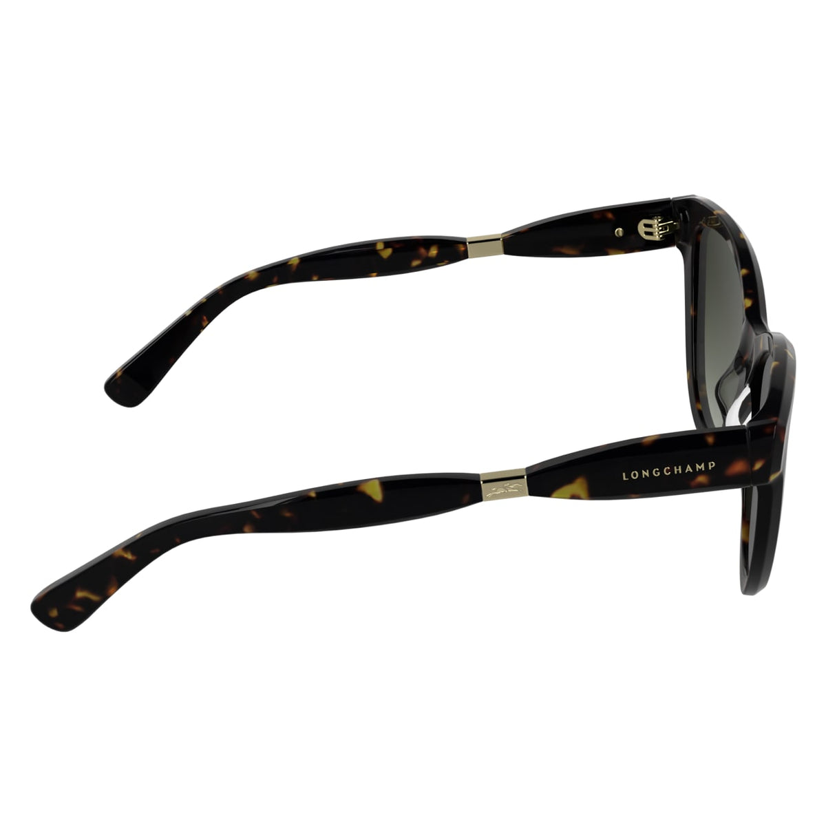 Gafas de Sol Longchamp LO804S 242 54 17