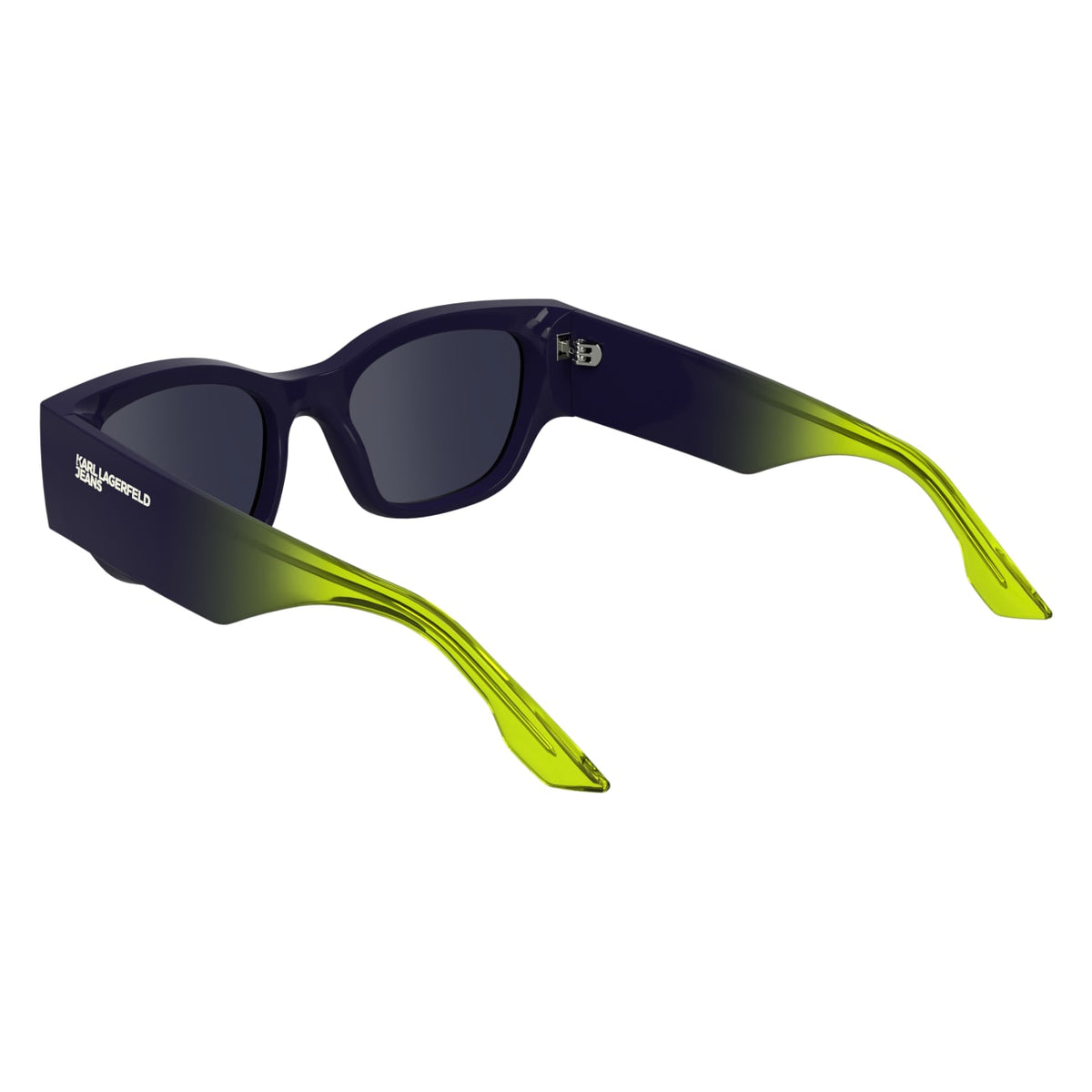 Sunglasses Karl Lagerfeld KLJ6168S 501 52 19