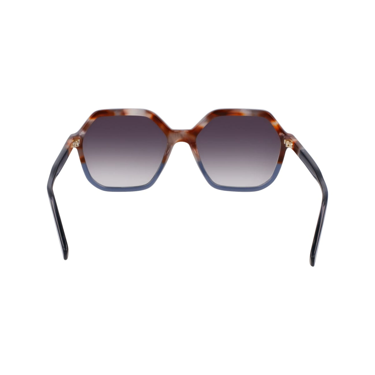 Sunglasses Longchamp LO760S 261 56 17