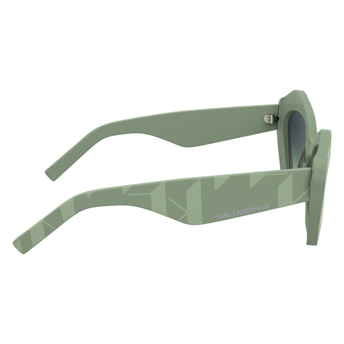 Gafas de Sol Karl Lagerfeld KL6199S 316 53 21