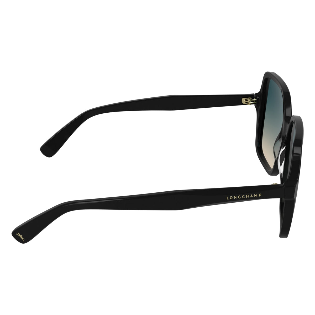 Sunglasses Longchamp LO808S 001 57 17
