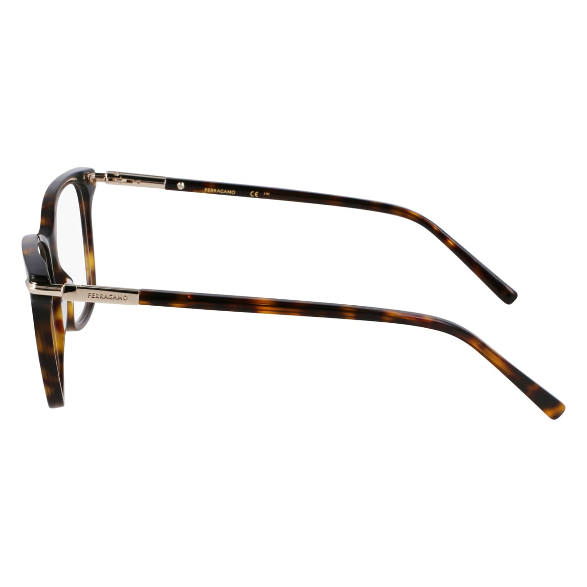 Prescription Glasses Ferragamo SF3013 242 53 / 55 15