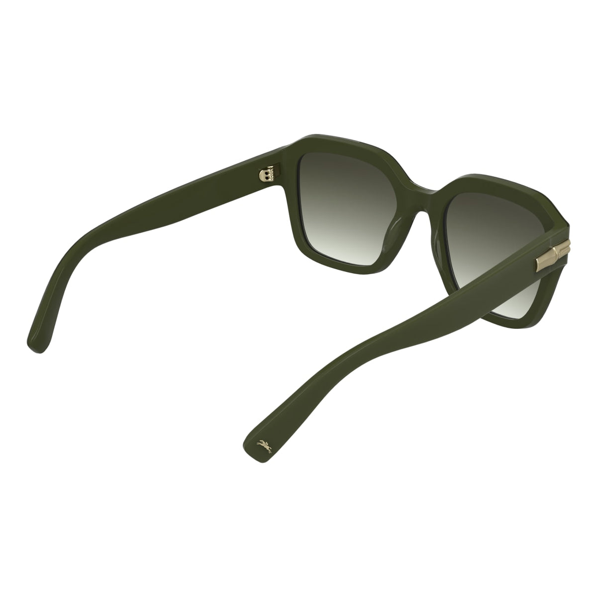 Sunglasses Longchamp LO816S 319 53 20