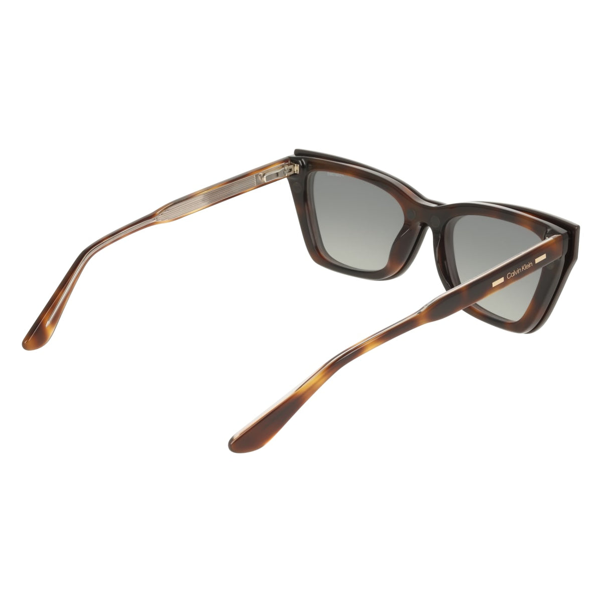Prescription Glasses Calvin Klein (Ck) CK25531MAG-SET 242 53 18