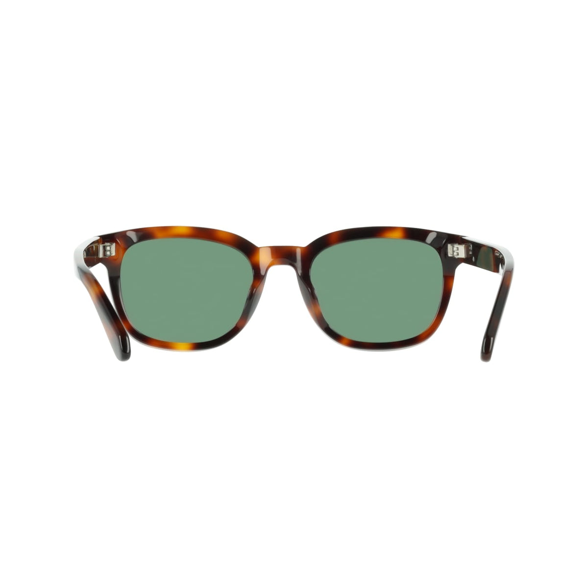Sunglasses Ferragamo SF2107S 240 54 21