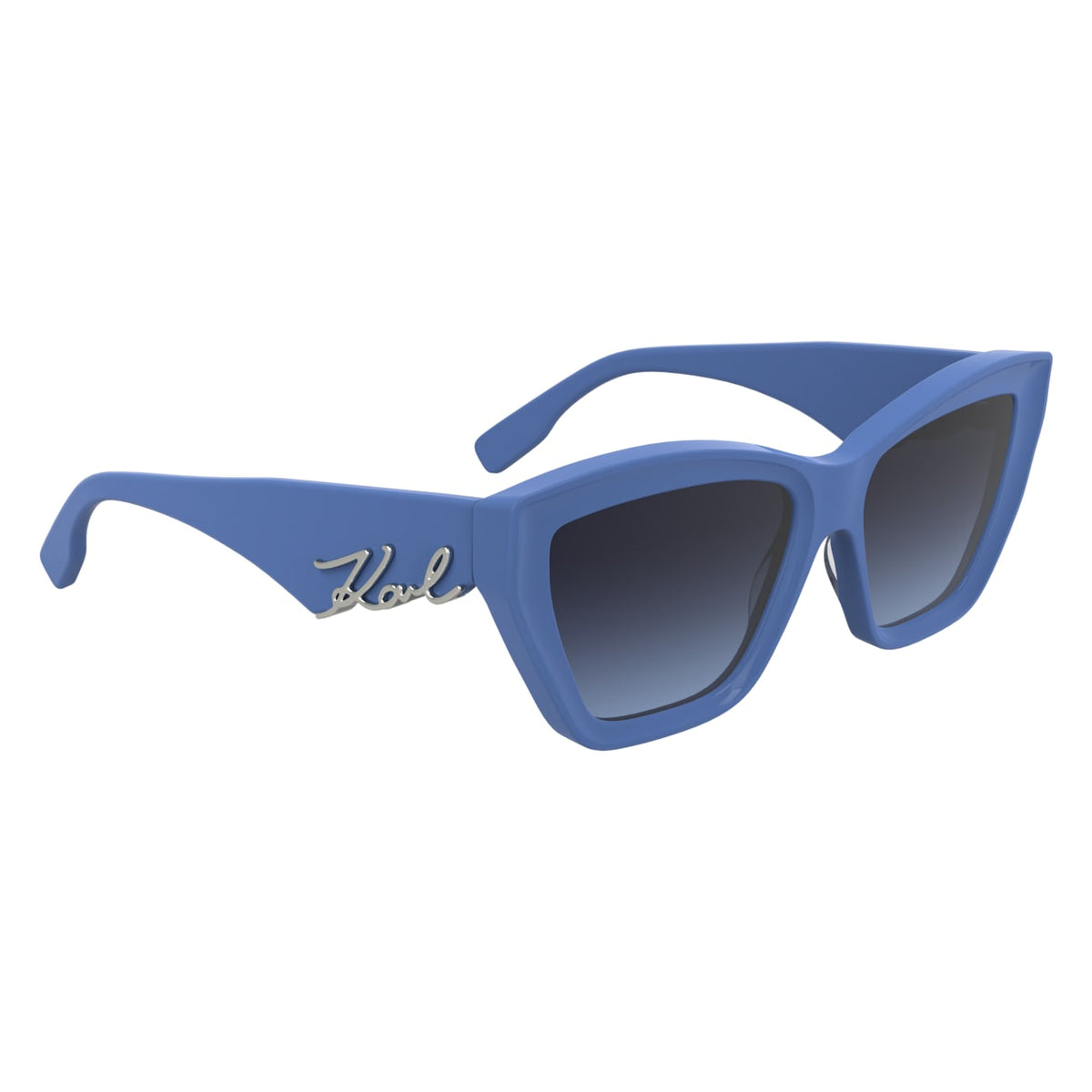Gafas de Sol Karl Lagerfeld KL6179S 423 55 16
