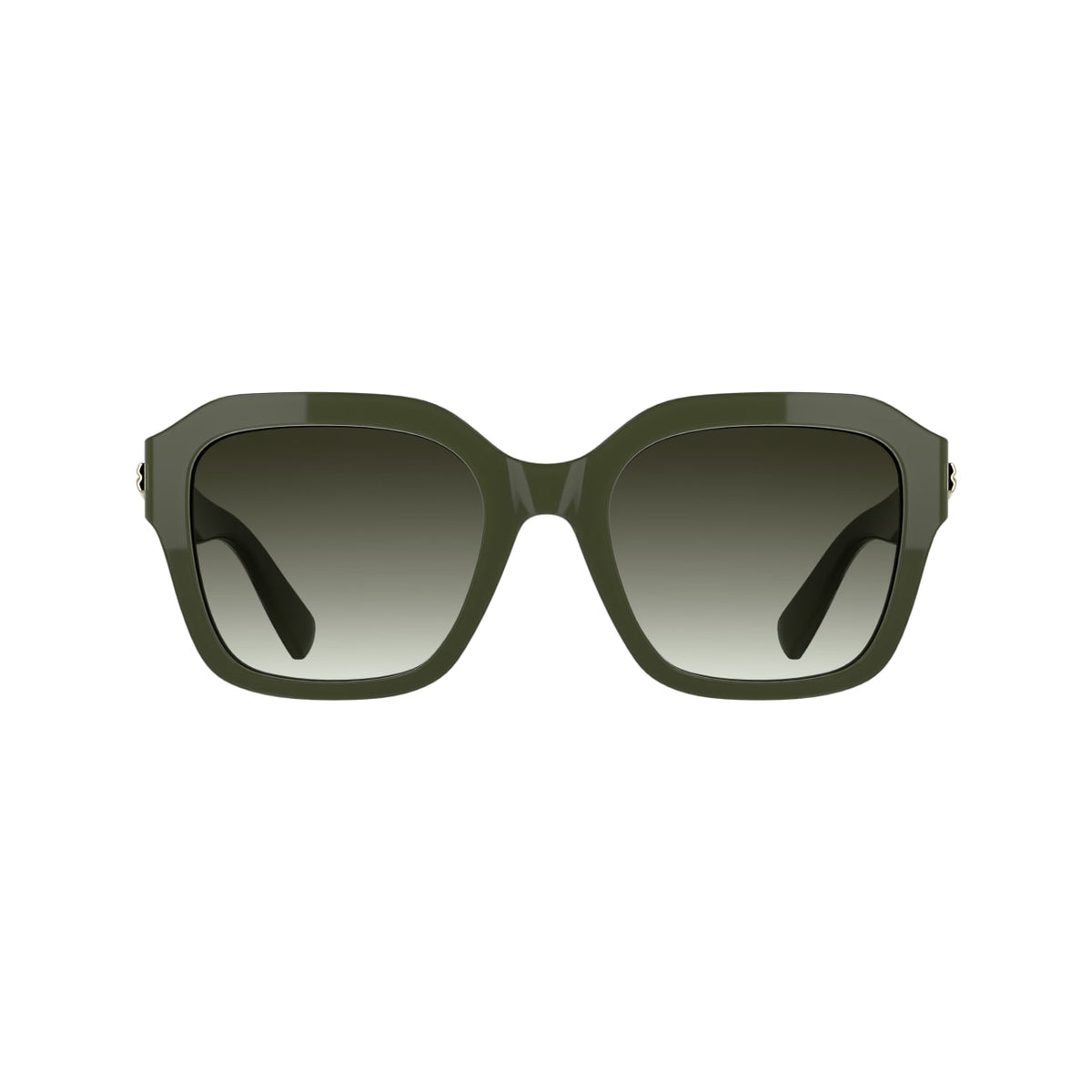 Sunglasses Longchamp LO816S 319 53 20