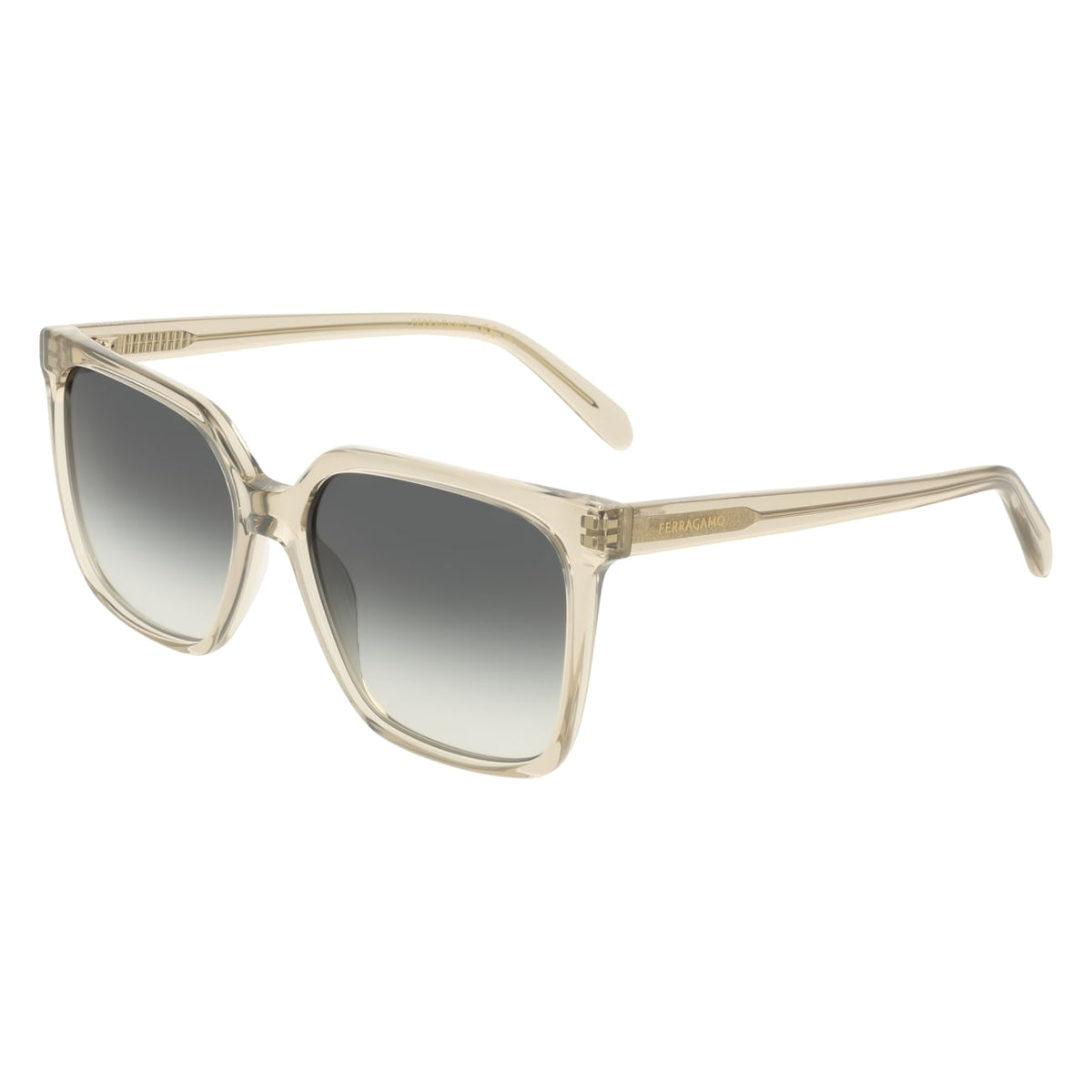 Gafas de Sol Ferragamo SF2102S 313 57 16