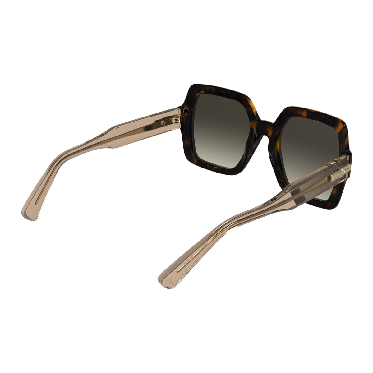 Gafas de Sol Longchamp LO790S 231 54 22