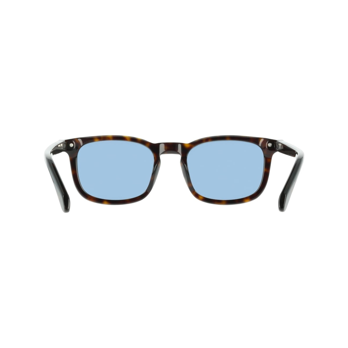 Gafas de Sol Ferragamo SF2120S 242 53 21